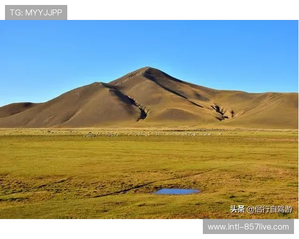 阿拉善隼赫尔足球俱乐部2-0轻取锡林郭勒西乌旗夺录足球俱乐部